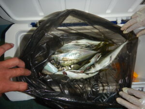 2025ｰ07ｰ18ｰ夜