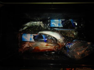 2025ｰ07ｰ19ｰ夜