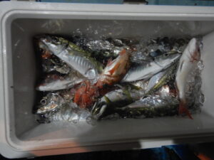 2025ｰ07ｰ27ｰ夜