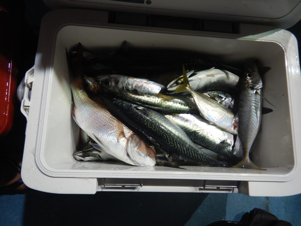 2025ｰ08ｰ14ｰ夜