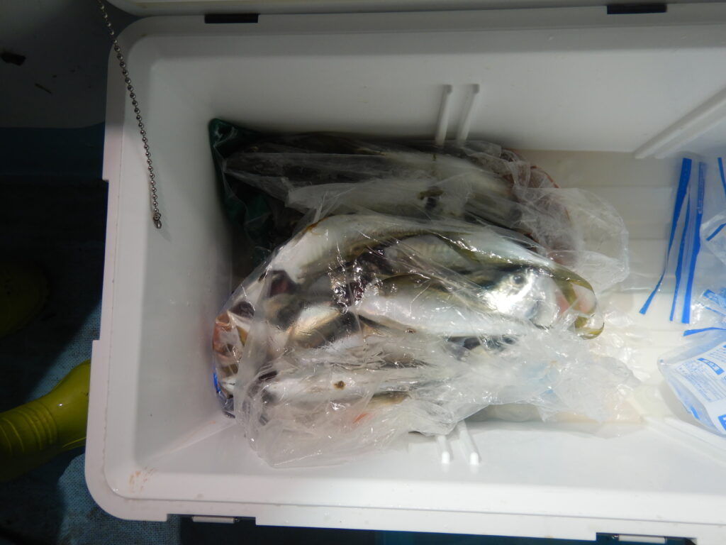 2025ｰ08ｰ22ｰ夜