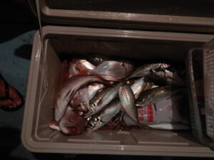 2025ｰ08ｰ23ｰ夜