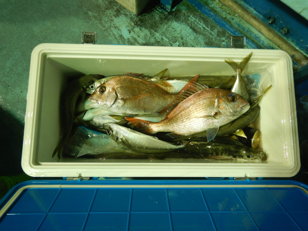 2025ｰ09ｰ27ｰ夜